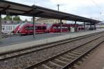 Drei Hamster von der S-Bahn Nürnberg im Bahnhof Ansbach. 28.08.2015