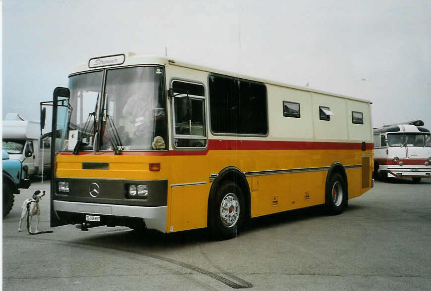 (089'137) - Treuthardt, Tgerwilen - TG 168'687 - Mercedes/Lauber (ex P 19'915; ex Lehner, Brchen Nr. 2) am 19. August 2006 auf dem Gurnigelpass