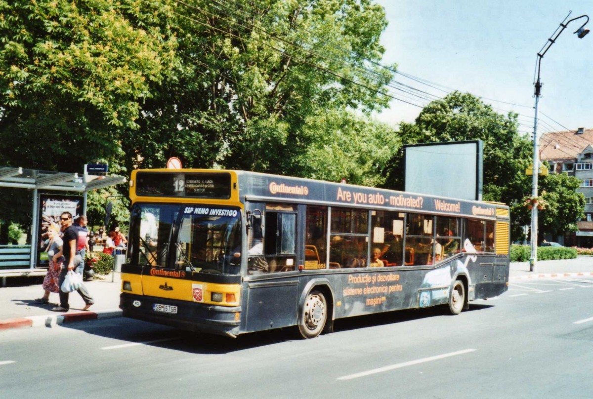 (116'735) - Tursib, Sibiu - Nr. 55/SB 55 TSB - MAZ am 27. Mai 2009 in Sibiu, Parcul Theretulu