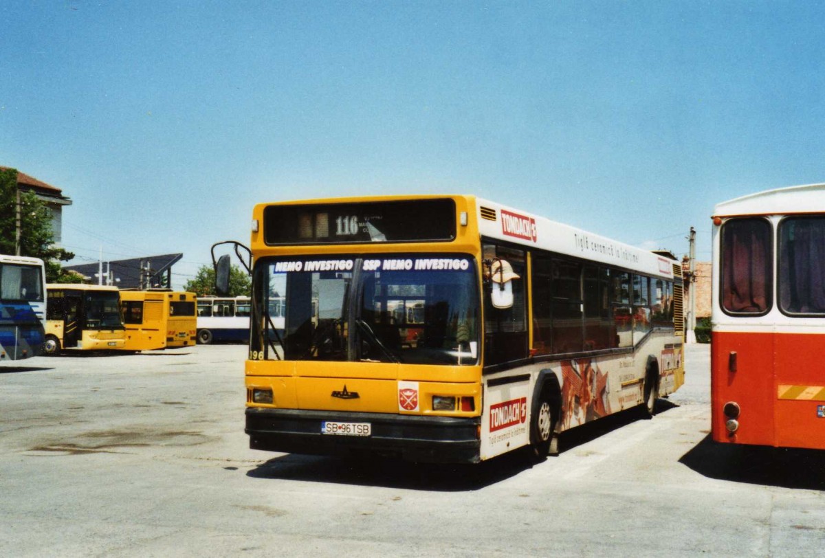 (116'816) - Tursib, Sibiu - Nr. 96/SB 96 TSB - MAZ am 27. Mai 2009 in Sibiu, Depot