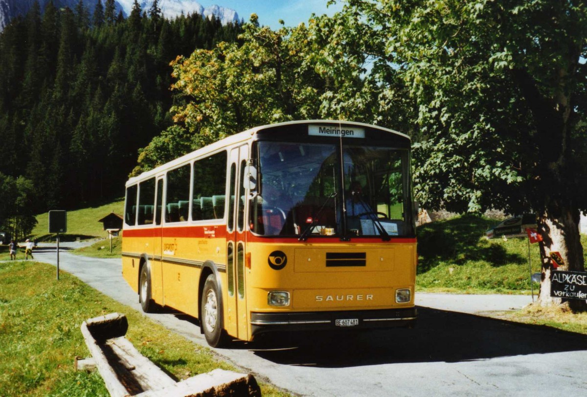 (120'225) - AVG Meiringen - Nr. 74/BE 607'481 - Saurer/R&J (ex P 24'357) am 23. August 2009 in Gschwandtenmaad