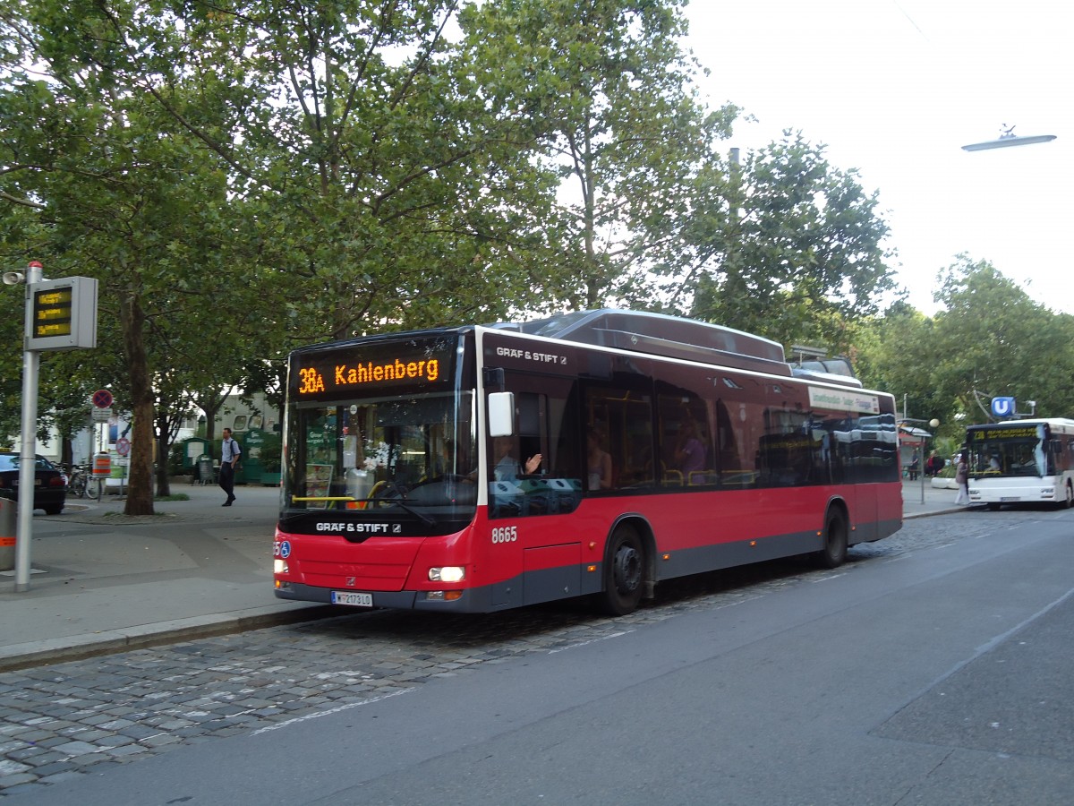 (128'447) - Wiener Linien - Nr. 8665/W 2173 LO - Grf&Stift am 9. August 2010 in Wien, Heiligenstadt 