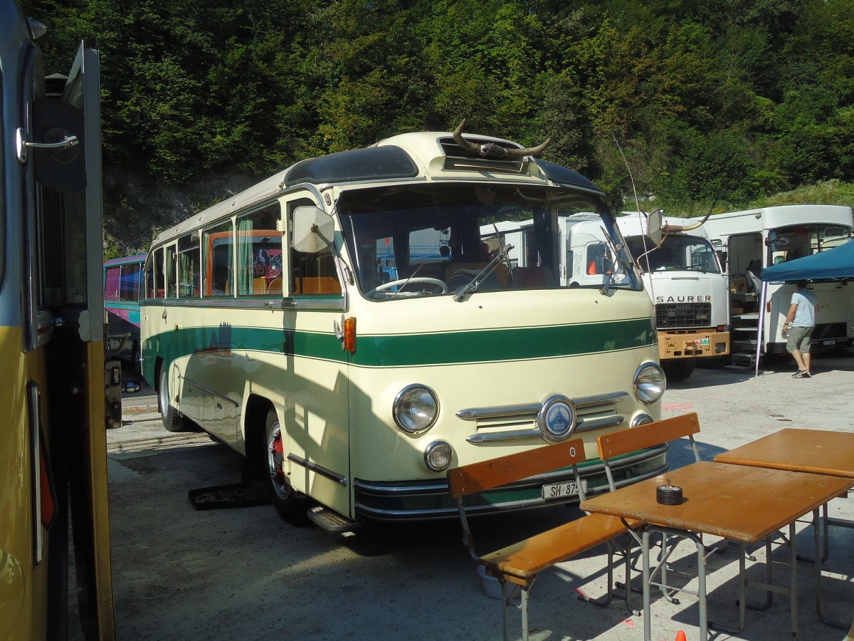 (128'947) - Wehrli, Thayngen - SH 875 - Saurer/Saurer (ex Rieser+Vetter, Frauenfeld) am 22. August 2010 in Thayngen, Wohnbustreffen