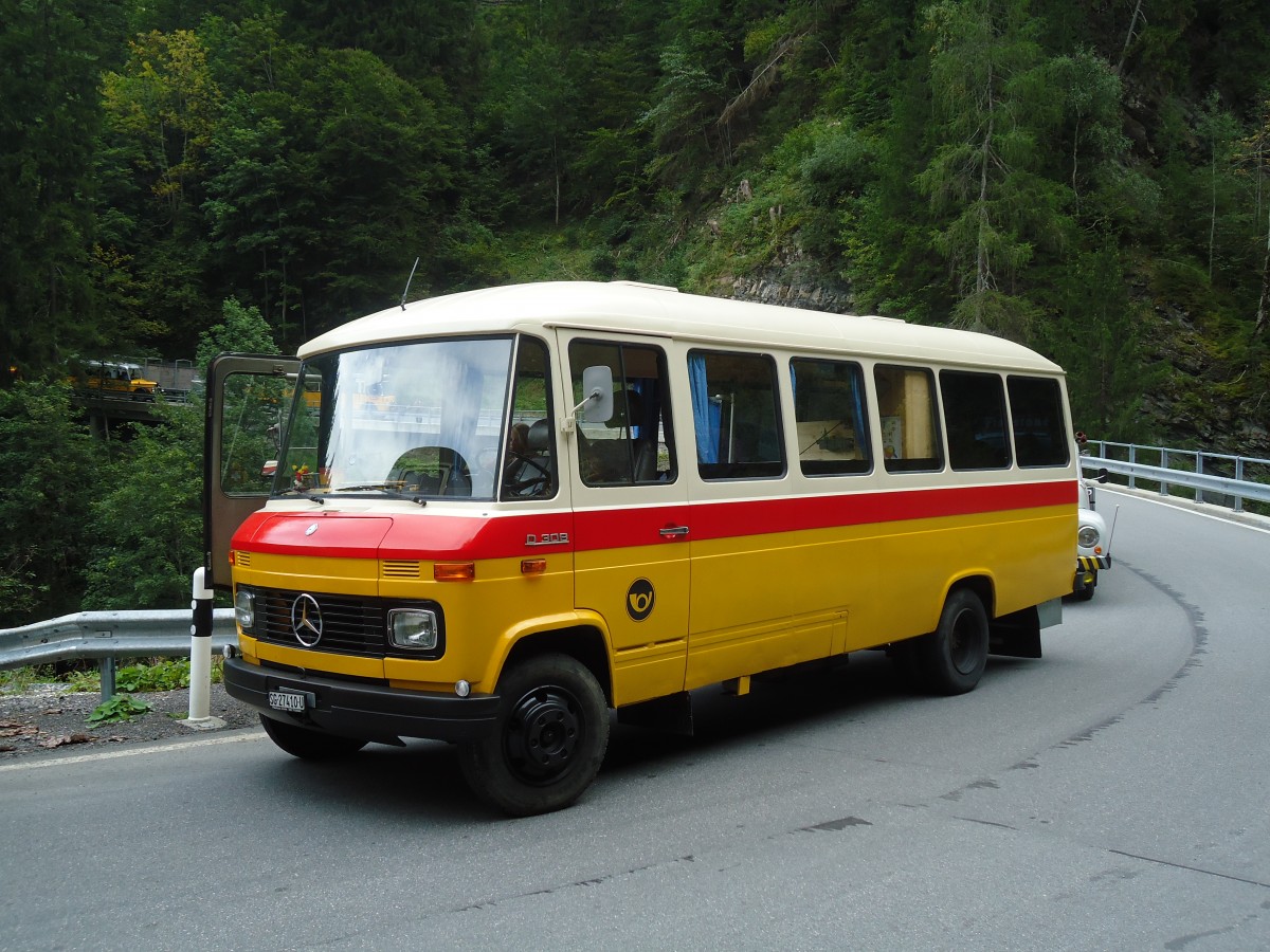 (129'884) - Amsler, Frmsen - SG 27'410 U - Mercedes/Tscher am 18. September 2010 bei Valendas 