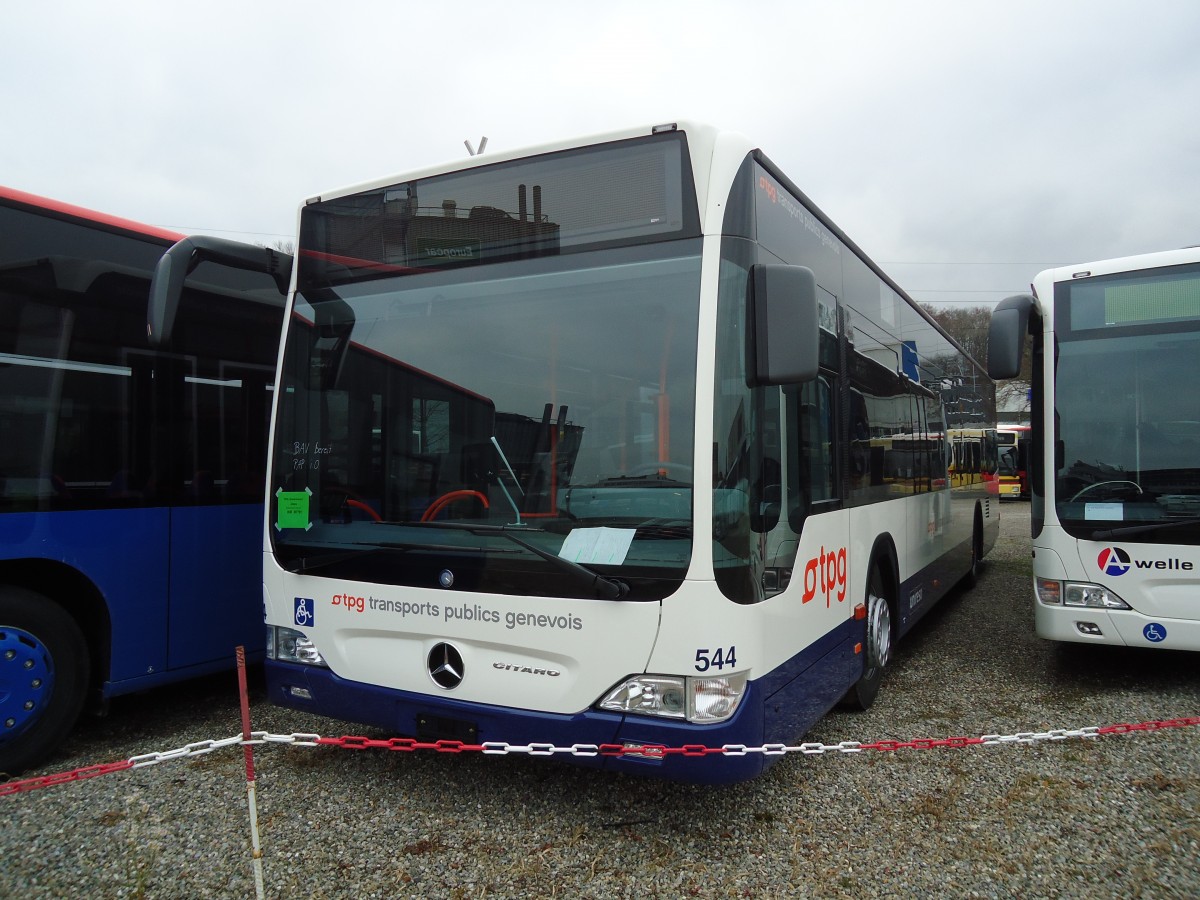 (131'023) - TPG Genve - Nr. 544 - Mercedes am 17. November 2010 in Kloten, EvoBus