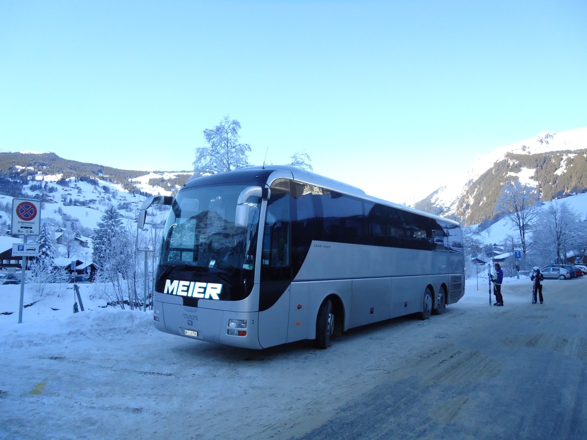 (131'886) - Meier, Zrich - ZH 316'751 - MAN am 31. Dezember 2010 in Grindelwald, Grund