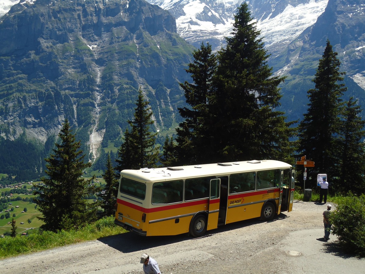 (134'721) - AVG Meiringen - Nr. 74/BE 607'481 - Saurer/R&J (ex P 24'357) am 3. Juli 2011 in Grindelwald, Waldspitz