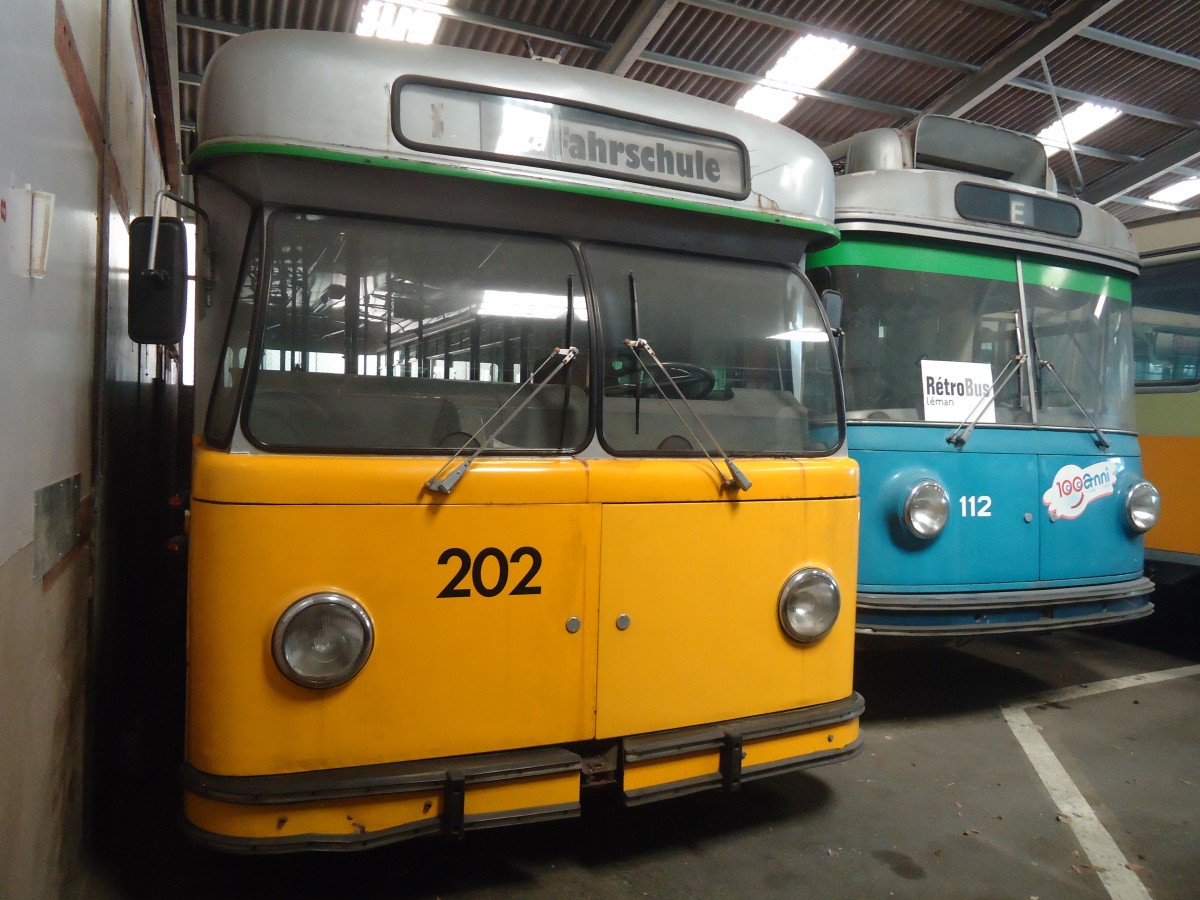 (141'302) - VBSH Schaffhausen (TVS) - Nr. 202 - Berna/SWS-R&J Trolleybus am 19. August 2012 in Yvonand, Halle TVS