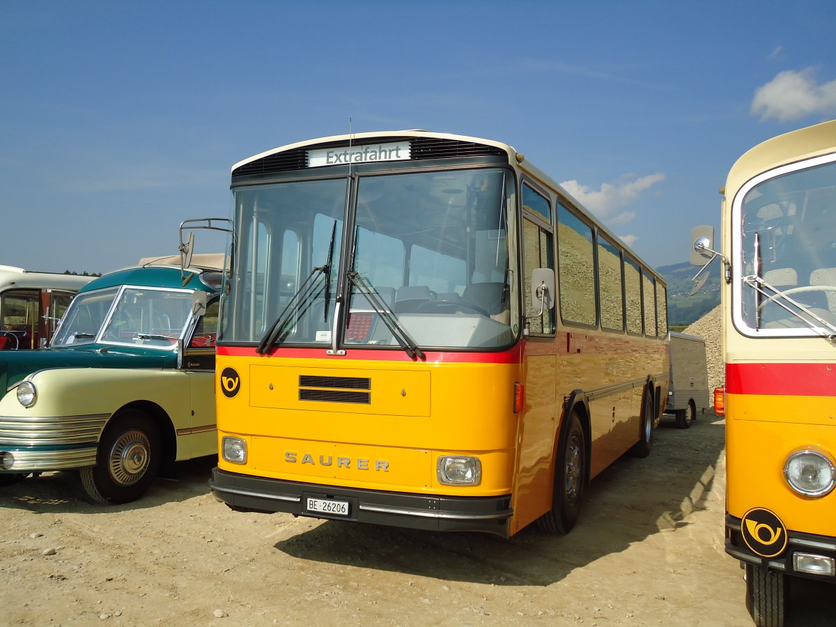 (146'574) - Schmid, Thrishaus - BE 26'206 - Saurer/Tscher (ex P 24'244) am 31. August 2013 in Niederbipp, Saurertreffen