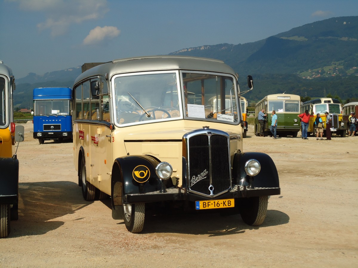 (146'579) - Aus Holland: SVA Dordrecht - Nr. 3/BF-16-KB - Berna/FHS (ex Graf, Bleiken; ex P 20'201) am 31. August 2013 in Niederbipp, Saurertreffen