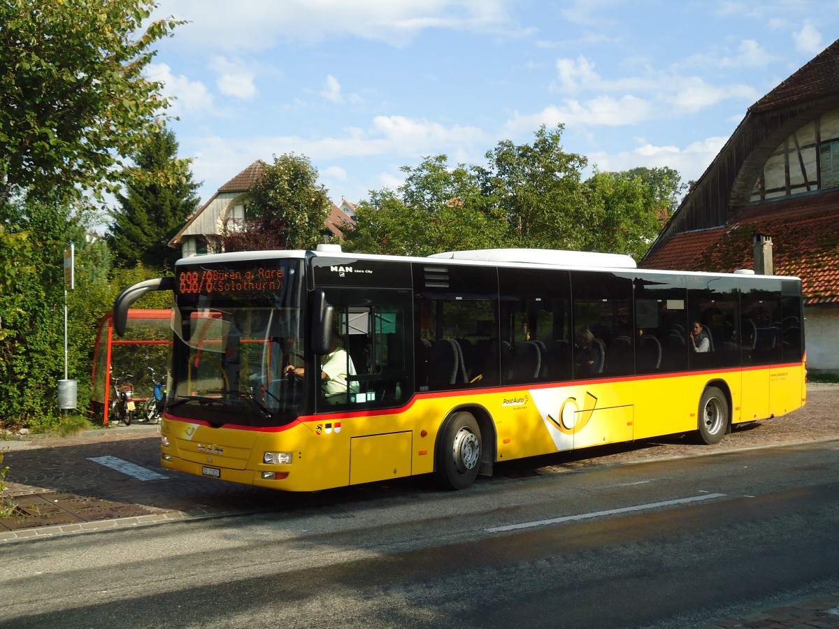 (146'855) - Steiner, Messen - SO 21'820 - MAN am 31. August 2013 in Schnottwil, Post