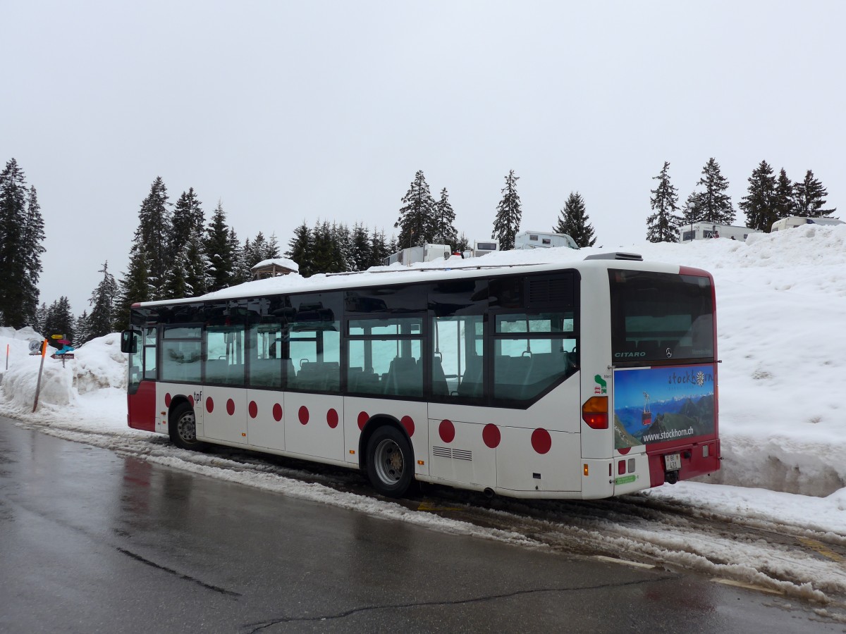 (149'040) - Stryffeler, Boltigen - BE 431 - Mercedes (ex TPF Fribourg Nr. 78) am 22. Februar 2014 auf dem Jaunpass