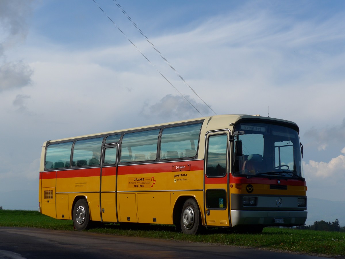 (155'549) - Buzzi, Bern - BE 910'789 - Mercedes (ex Mattli, Wassen) am 5. Oktober 2014 in Kaltacker, Lueg