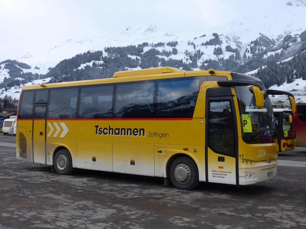 (158'351) - Tschannen, Zofingen - Nr. 17/AG 6175 - Temsa am 11. Januar 2015 in Frutigen, Flugplatz