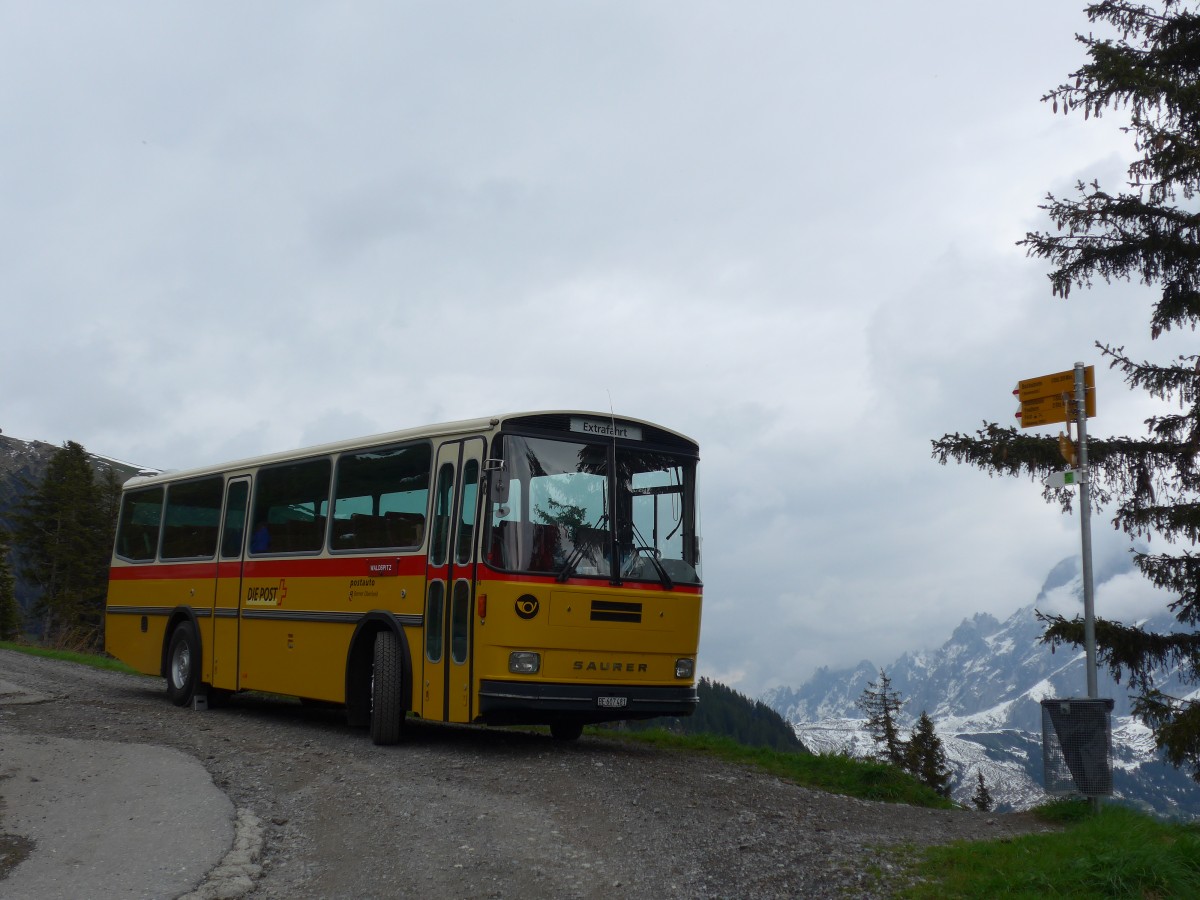 (161'039) - AVG Meiringen - Nr. 74/BE 607'481 - Saurer/R&J (ex PostAuto Berner Oberland; ex P 24'357) am 25. Mai 2015 in Grindelwald, Waldspitz