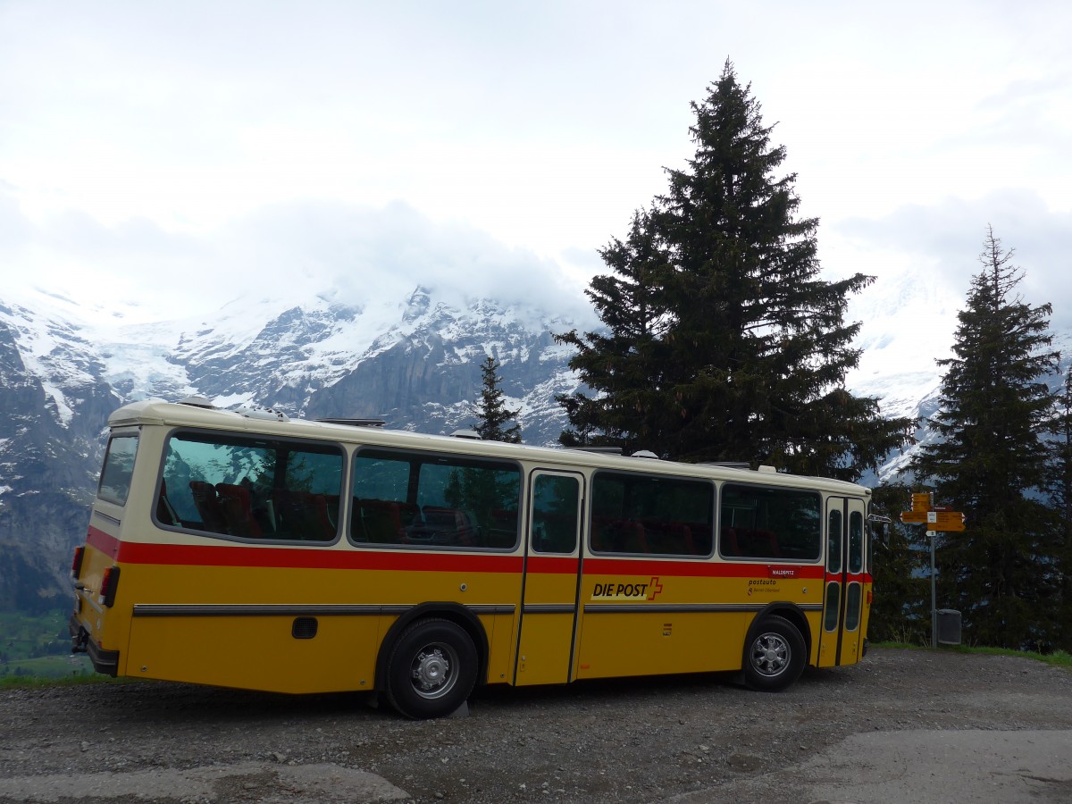 (161'043) - AVG Meiringen - Nr. 74/BE 607'481 - Saurer/R&J (ex PostAuto Berner Oberland; ex P 24'357) am 25. Mai 2015 in Grindelwald, Waldspitz