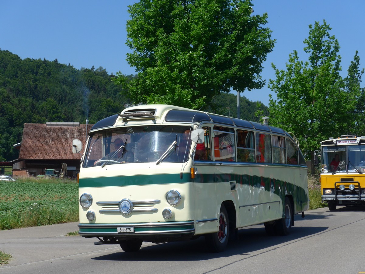 (161'868) - Wehrli, Thayngen - SH 875 - Saurer/Saurer (ex Rieser+Vetter, Frauenfeld) am 6. Juni 2015 in Thayngen, Saurertreffen