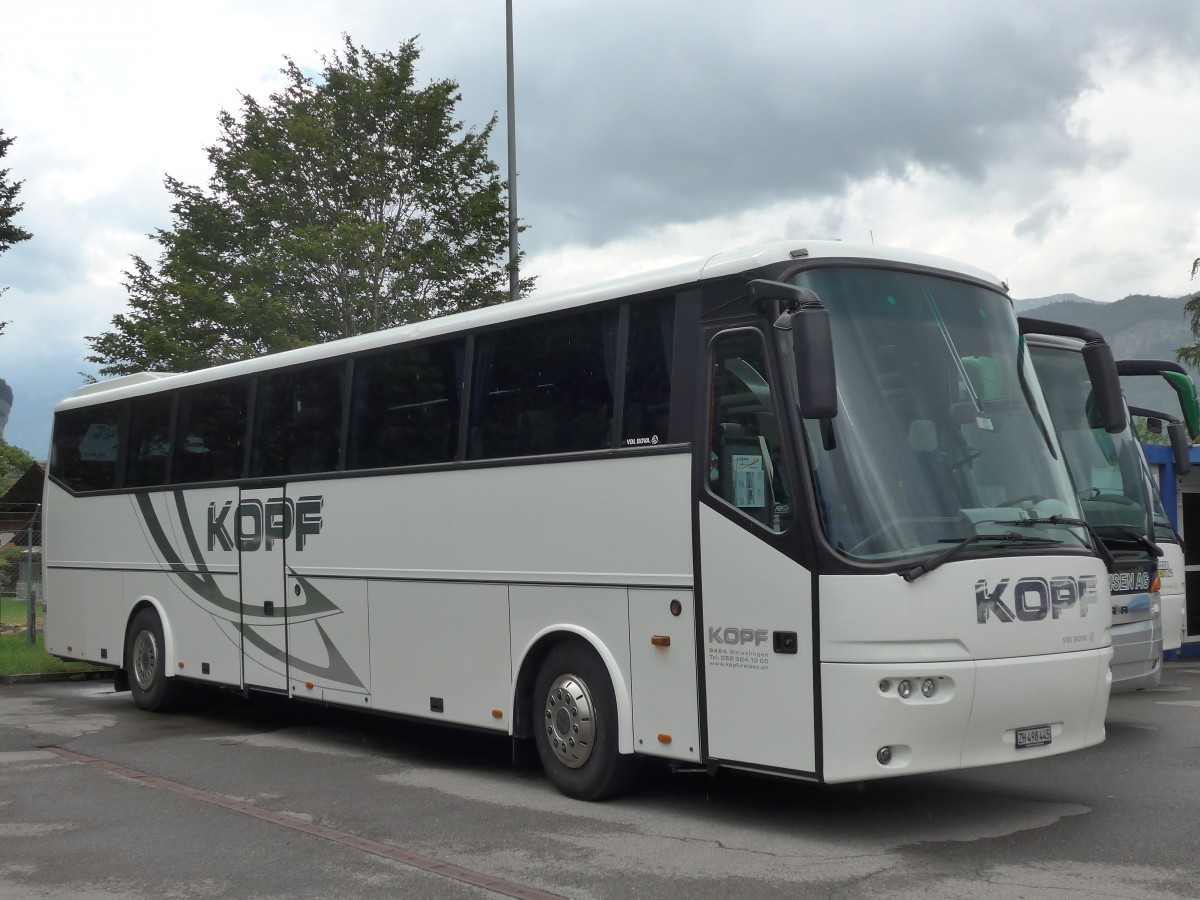 (162'383) - Kopf, Weisslingen - ZH 498'445 - Bova am 20. Juni 2015 in Meiringen, Balm