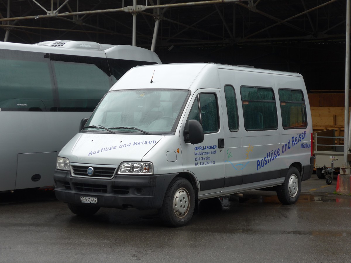 (162'453) - Oehrli&Schaer, Oberbipp - BE 531'447 - Fiat am 21. Juni 2015 in Meiringen, Balm