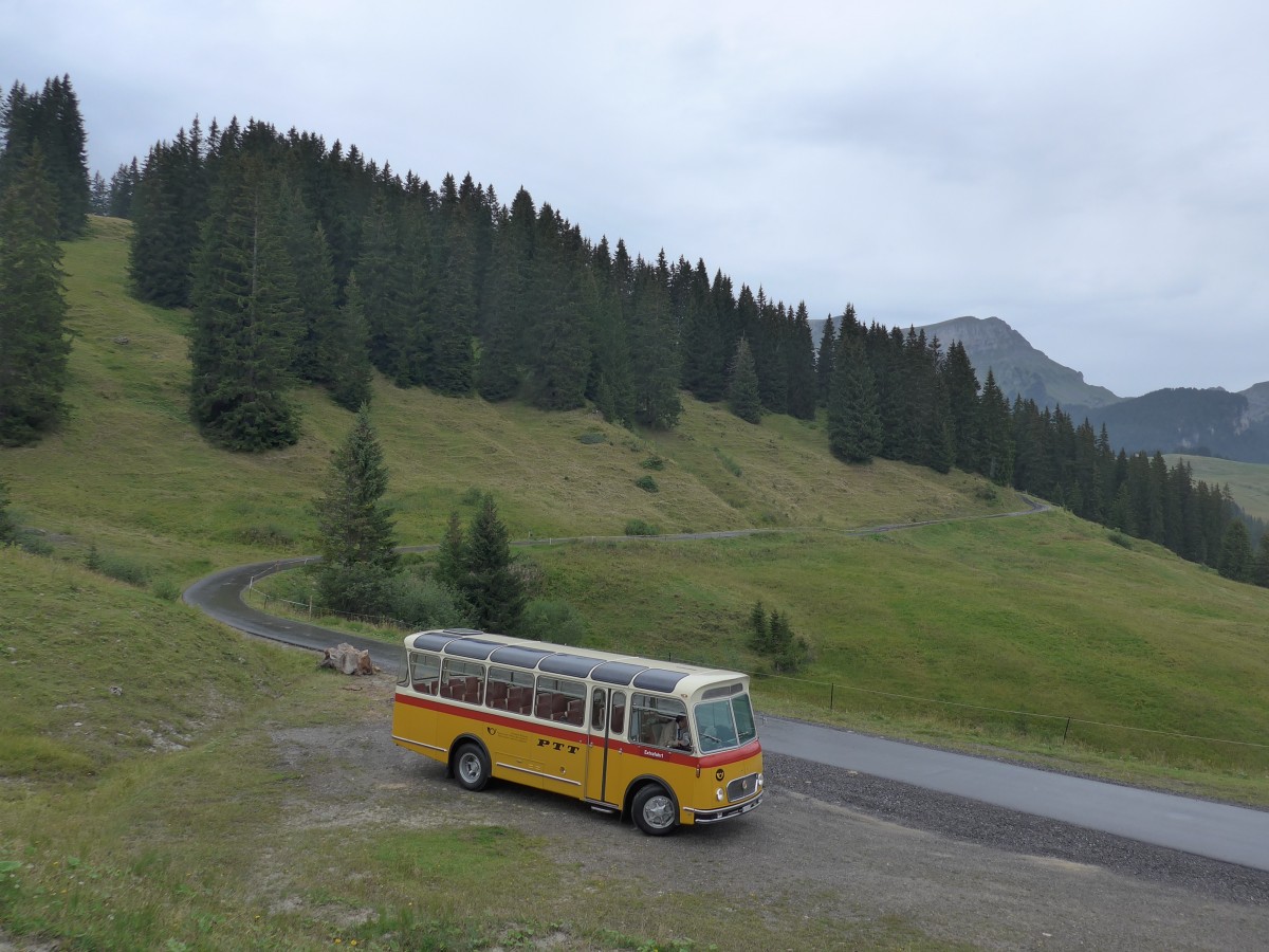 (163'757) - Rentsch, Gunten - BE 823'203 - FBW/Gangloff (ex P 23'203; ex P 21'003) am 23. August 2015 in Habkern, Lombachalp