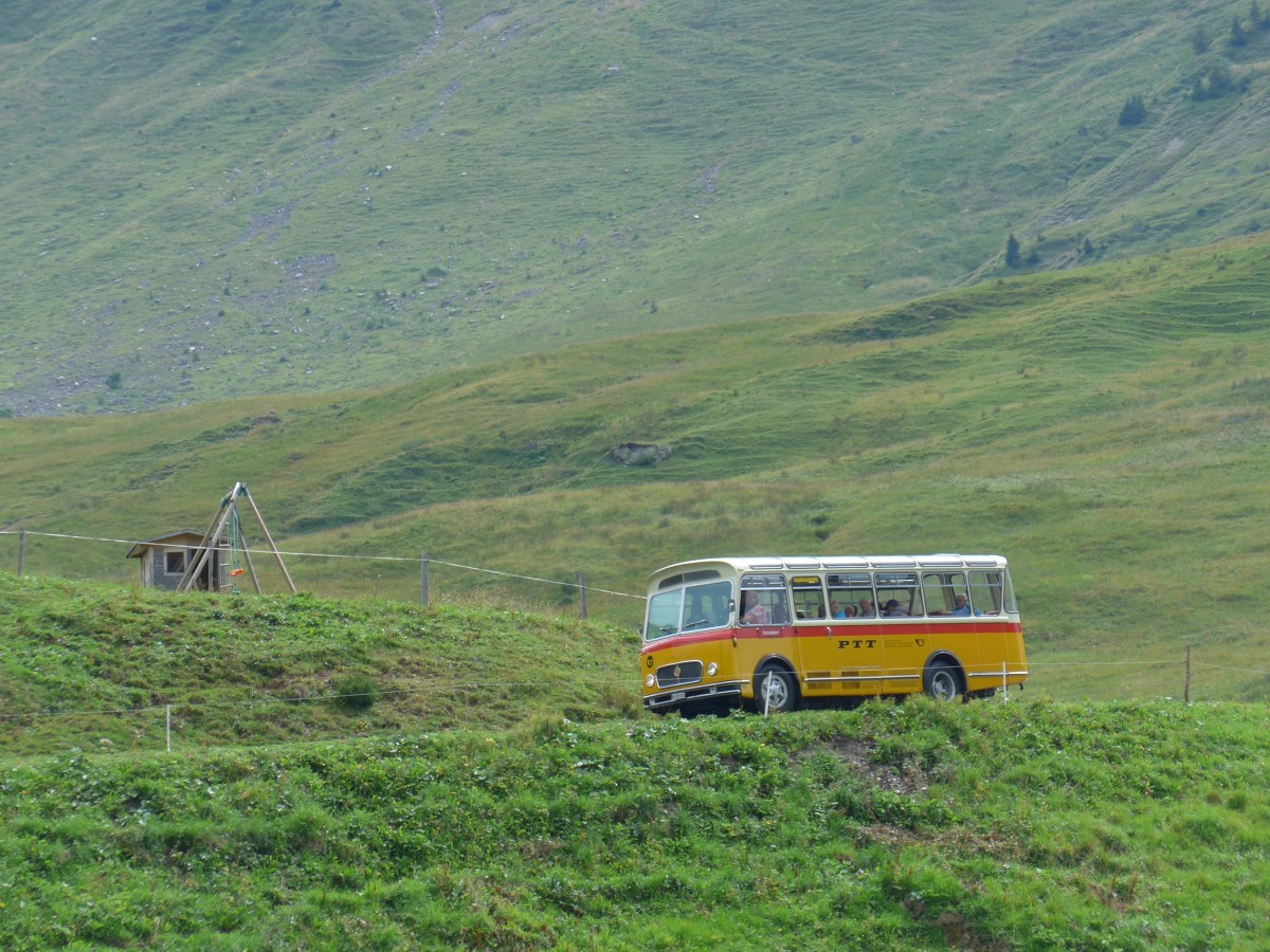 (163'768) - Rentsch, Gunten - BE 823'203 - FBW/Gangloff (ex P 23'203; ex P 21'003) am 23. August 2015 in Habkern, Lombachalp