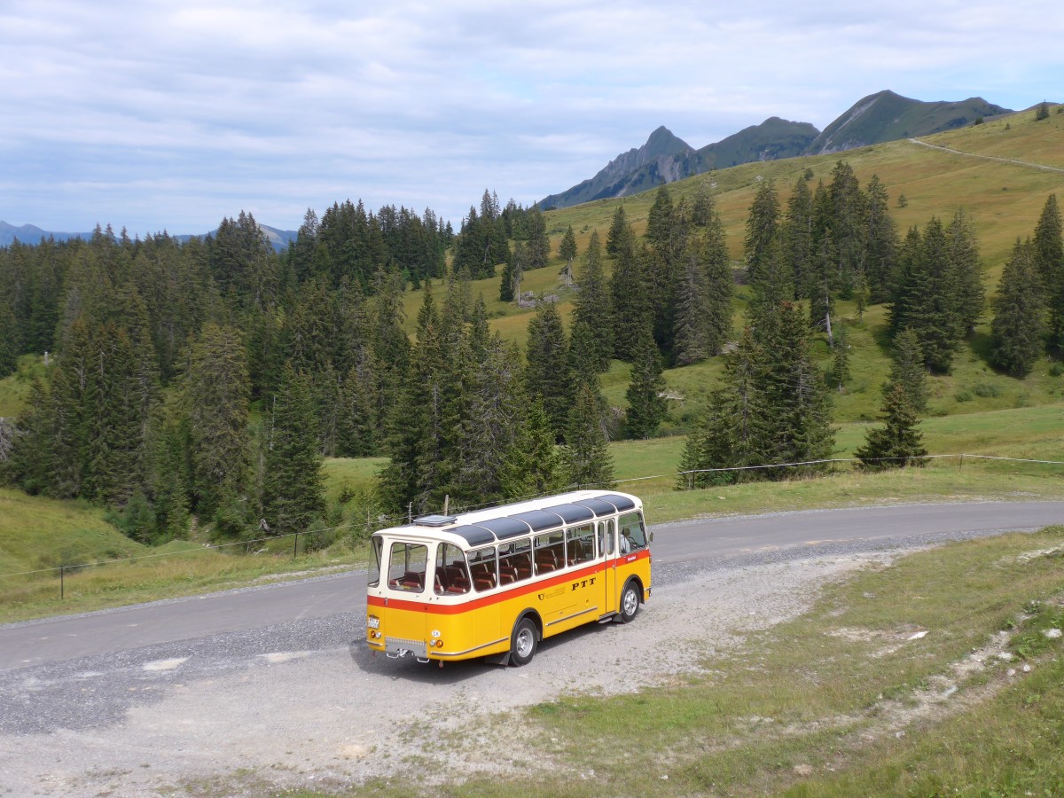 (163'824) - Rentsch, Gunten - BE 823'203 - FBW/Gangloff (ex P 23'203; ex P 21'003) am 23. August 2015 in Habkern, Lombachalp