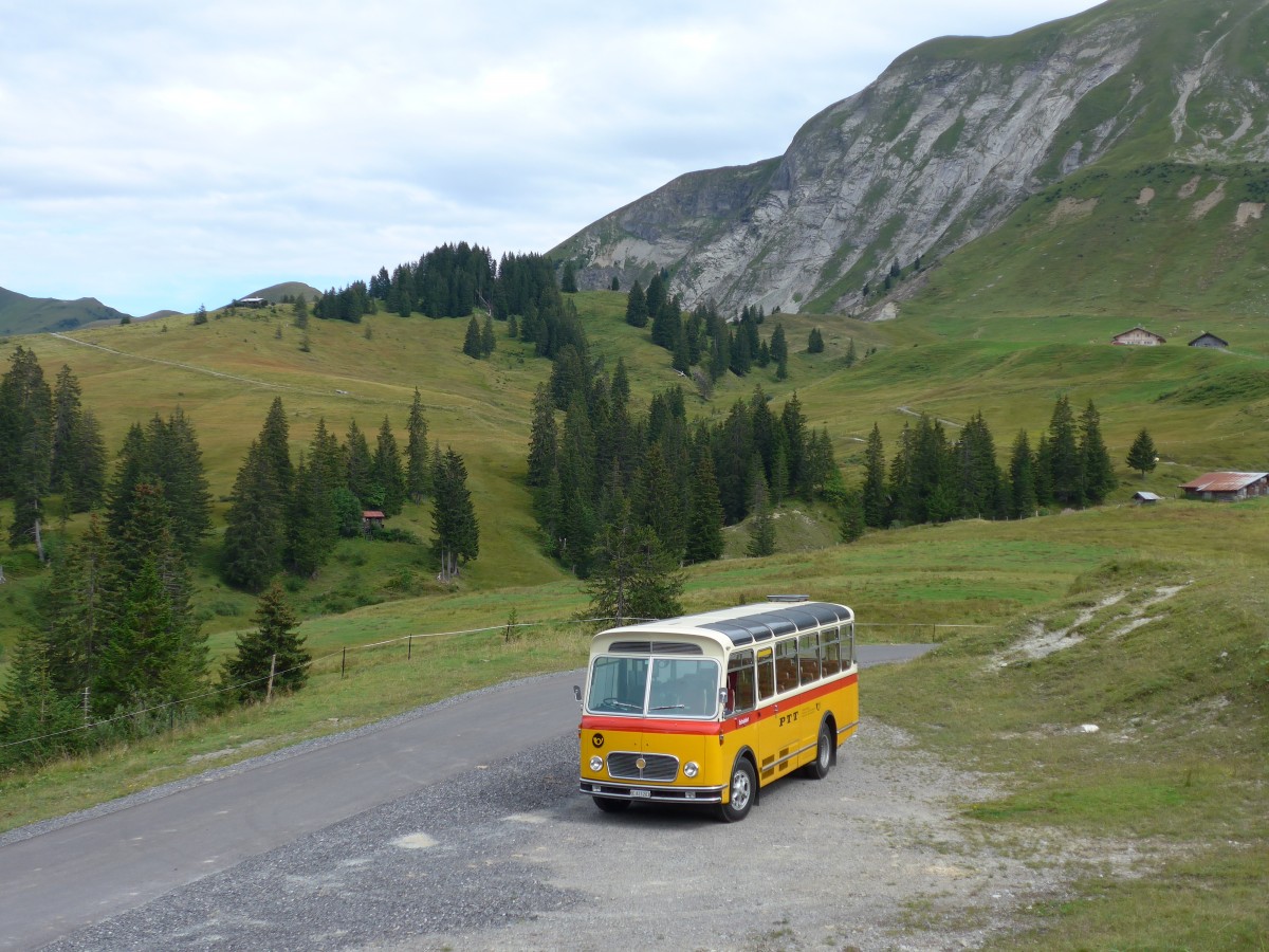 (163'829) - Rentsch, Gunten - BE 823'203 - FBW/Gangloff (ex P 23'203; ex P 21'003) am 23. August 2015 in Habkern, Lombachalp