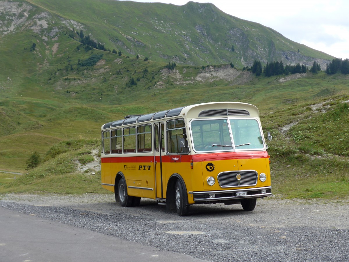 (163'832) - Rentsch, Gunten - BE 823'203 - FBW/Gangloff (ex P 23'203; ex P 21'003) am 23. August 2015 in Habkern, Lombachalp