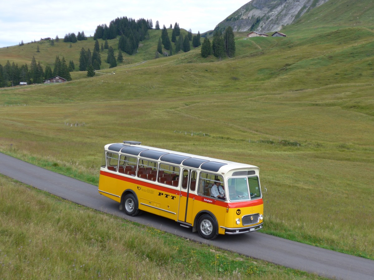 (163'837) - Rentsch, Gunten - BE 823'203 - FBW/Gangloff (ex P 23'203; ex P 21'003) am 23. August 2015 in Habkern, Lombachalp