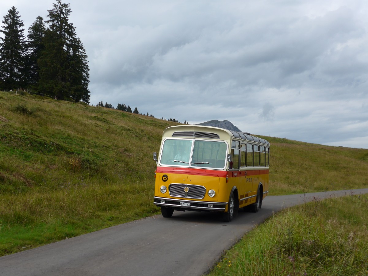 (163'840) - Rentsch, Gunten - BE 823'203 - FBW/Gangloff (ex P 23'203; ex P 21'003) am 23. August 2015 in Habkern, Lombachalp