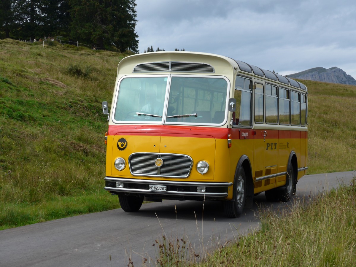 (163'841) - Rentsch, Gunten - BE 823'203 - FBW/Gangloff (ex P 23'203; ex P 21'003) am 23. August 2015 in Habkern, Lombachalp