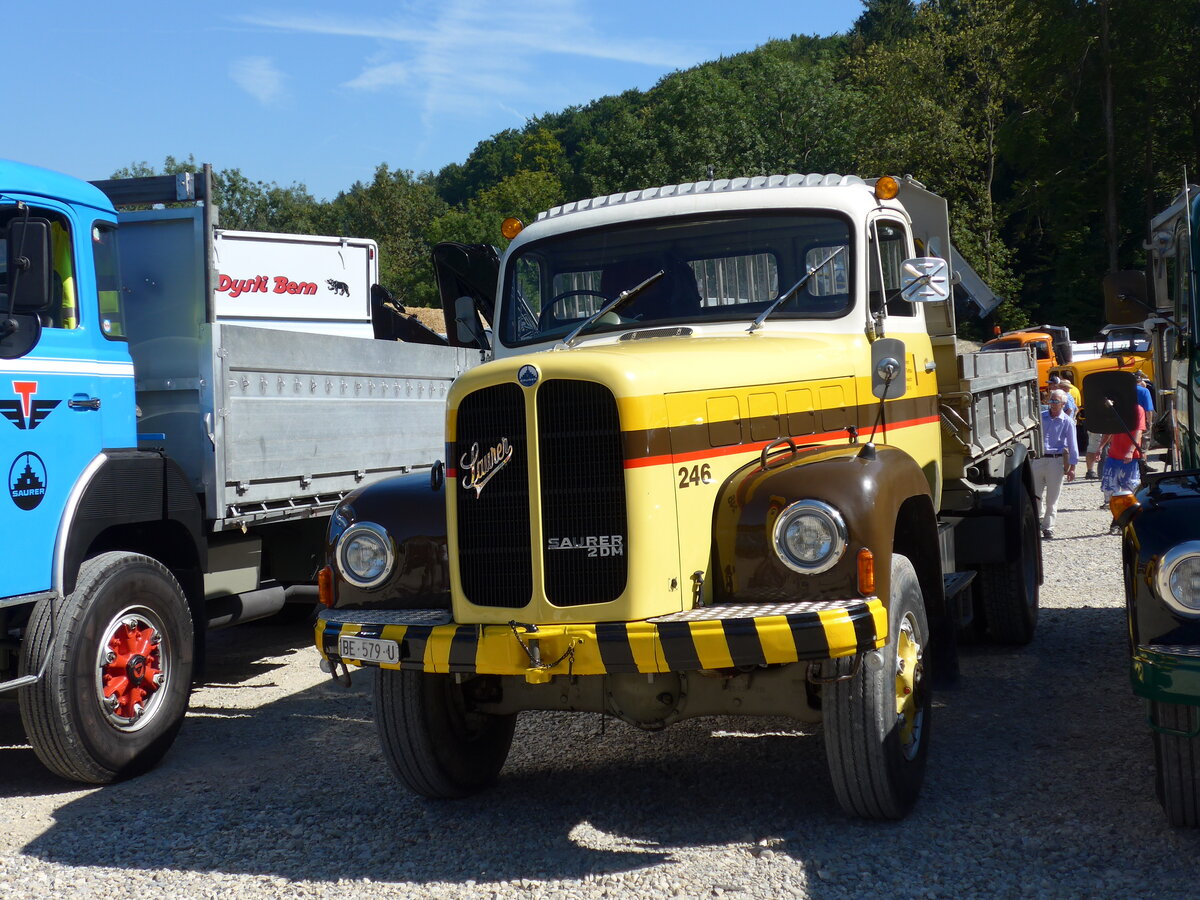 (164'044) - Ammeter, Emdthal - Nr. 246/BE 579 U - Saurer (ex STI Thun Nr. 246; ex STI Thun Nr. 146) am 29. August 2015 in Oberkirch, CAMPUS Sursee