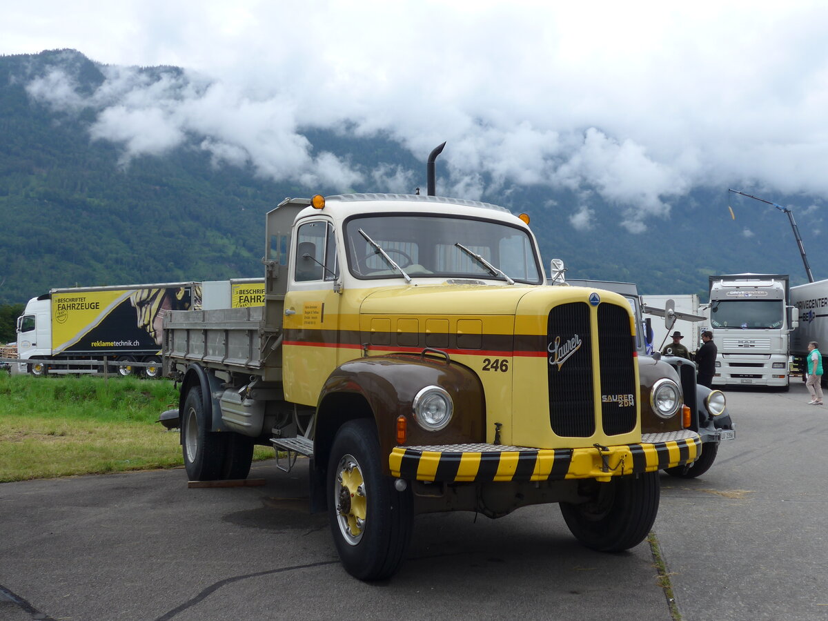 (172'450) - Ammeter, Emdthal - Nr. 246 - Saurer (ex STI Thun Nr. 246; ex STI Thun Nr. 146) am 26. Juni 2016 in Interlaken, Flugplatz