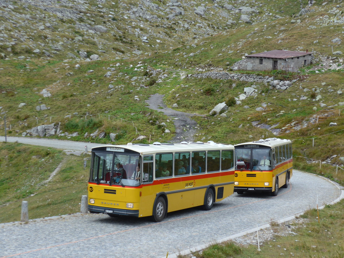 (174'993) - AVG Meiringen - Nr. 74/BE 607'481 - Saurer/R&J (ex P 24'357) am 18. September 2016 am Gotthard, Alte Tremolastrasse