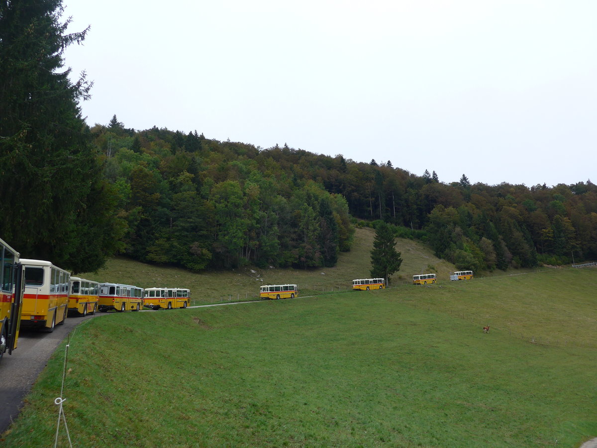 (175'345) - Amstein, Willisau - LU 90'998 U - Saurer/R&J (ex Thepra, Stans Nr. 17; ex Gowa, Stans Nr. 17) am Scheltenpass (Solothurnerseite) und 8 weitere RH's