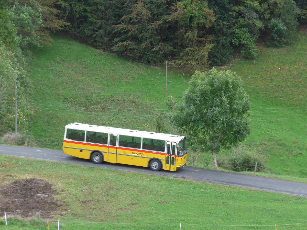 (175'352) - Schmid, Glarus - GL 4012 - Saurer/Tscher (ex Mosimann, Aesch; ex Erne, Full; ex P 24'257) am 2. Oktober 2016 am Scheltenpass (Bernerseite)