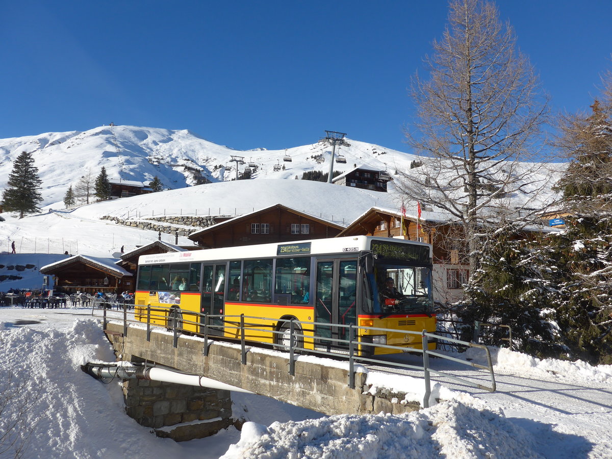 (178'018) - Portenier, Adelboden - Nr. 2/BE 26'853 - Mercedes (ex P 25'198; ex Anthamatten, Saas-Almagell) am 9. Januar 2017 in Adelboden, Geils