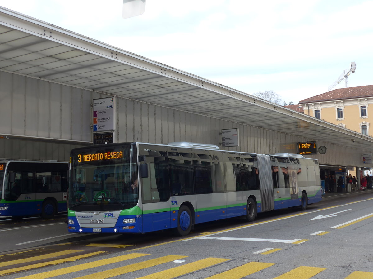 (178'274) - TPL Lugano - Nr. 437/TI 270'441 - MAN am 7. Februar 2017 in Lugano, Centro