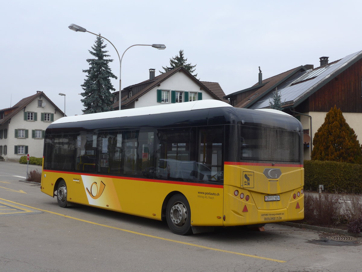 (178'480) - Moser, Flaach - Nr. 290/ZH 812'865 - Gppel Personenanhnger am 10. Februar 2017 in Altikon, Brckenwaage