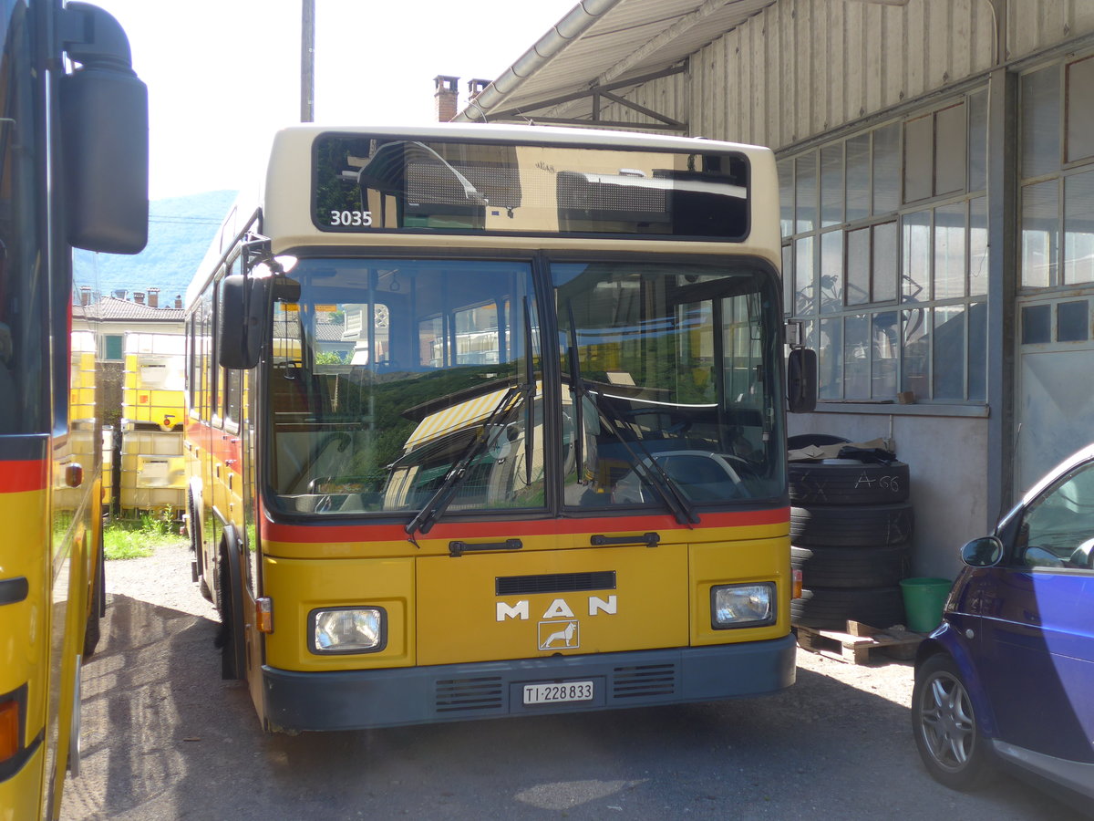 (180'603) - Merzaghi, Maroggia - TI 228'833 - MAN/Lauber (ex AutoPostale Ticino; ex P 23'014) am 23. Mai 2017 in Maroggia, Garage