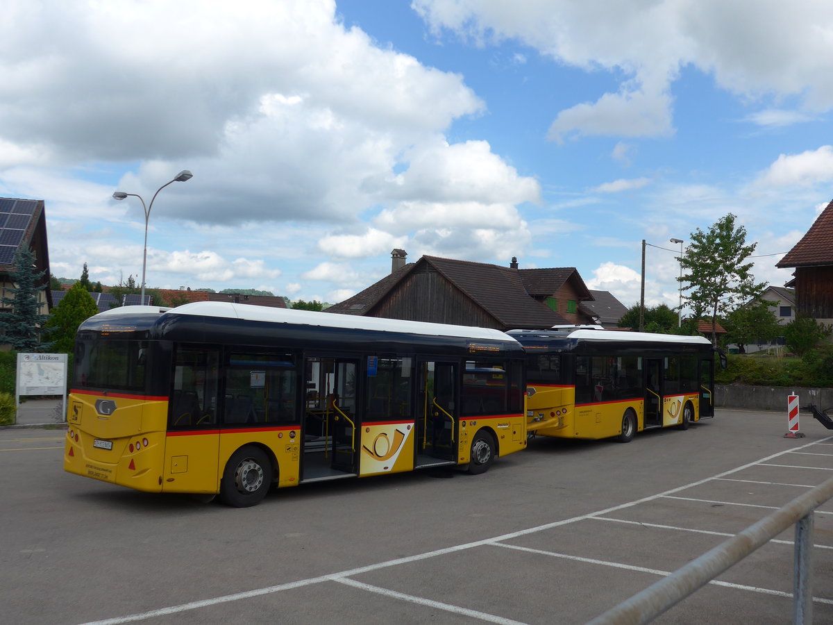 (181'996) - Moser, Flaach - Nr. 290/ZH 812'865 - Gppel Personenanhnger am 10. Juli 2017 in Altikon, Brckenwaage