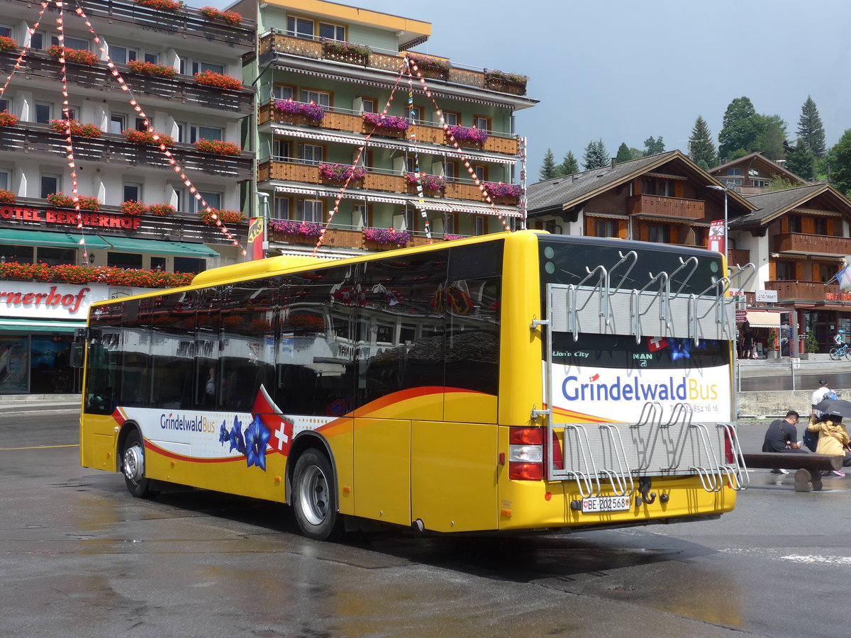 (182'392) - AVG Grindelwald - Nr. 14/BE 202'568 - MAN/Gppel am 30. Juli 2017 beim Bahnhof Grindelwald