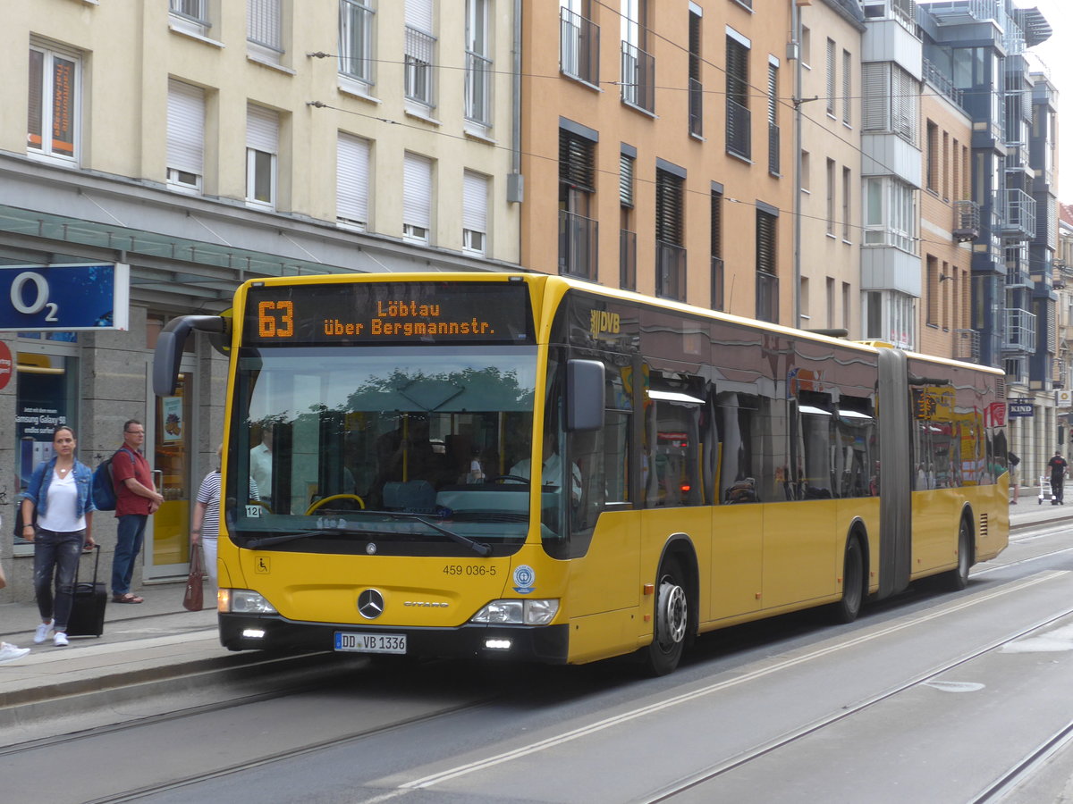 (183'181) - DVB Dresden - Nr. 459'036/DD-VB 1336 - Mercedes am 9. August 2017 in Dresden, Schillerplatz