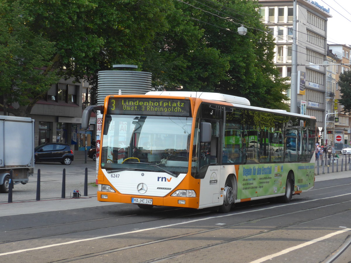 (183'809) - RNV Mannheim - Nr. 6247/MA-HC 247 - Mercedes am 21. August 2017 beim Hauptbahnhof Mannheim