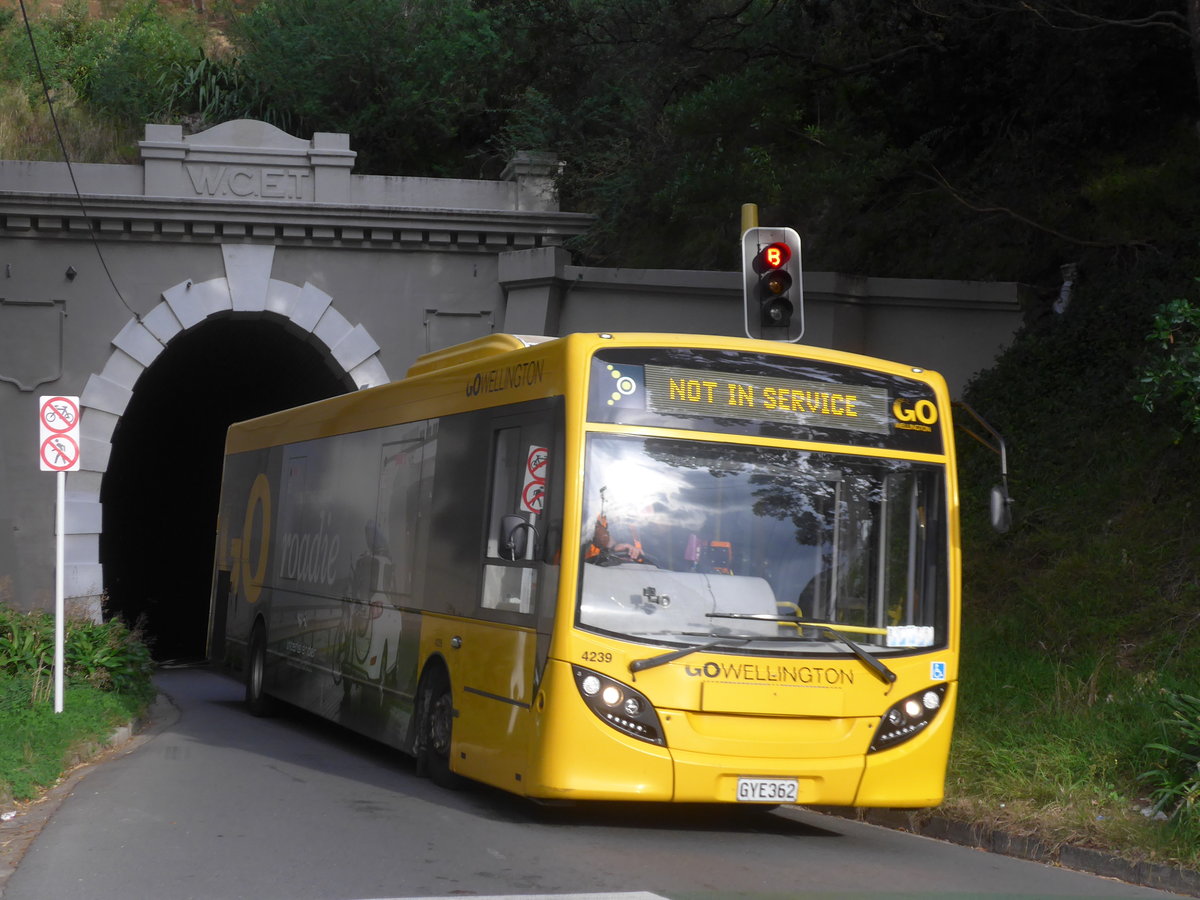 (191'792) - GO Wellington - Nr. 4239/GYE362 - Alexander Dennis/KiwiBus am 27. April 2018 in Wellington Hataitai Bus Tunnel