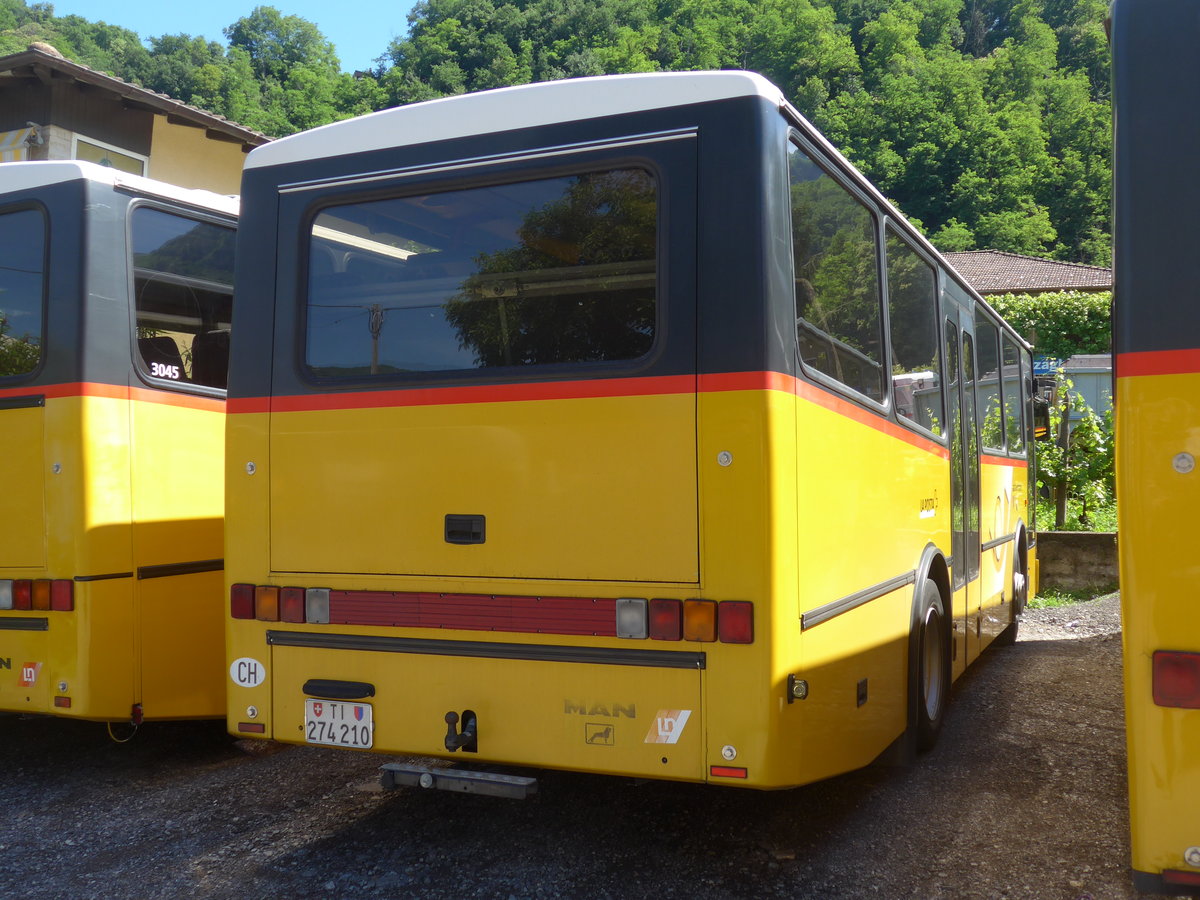 (193'816) - Merzaghi, Maroggia - TI 274'210 - MAN/Lauber (ex AutoPostale Ticino Nr. 303; ex P 23'024) am 9. Juni 2018 in Maroggia, Garage