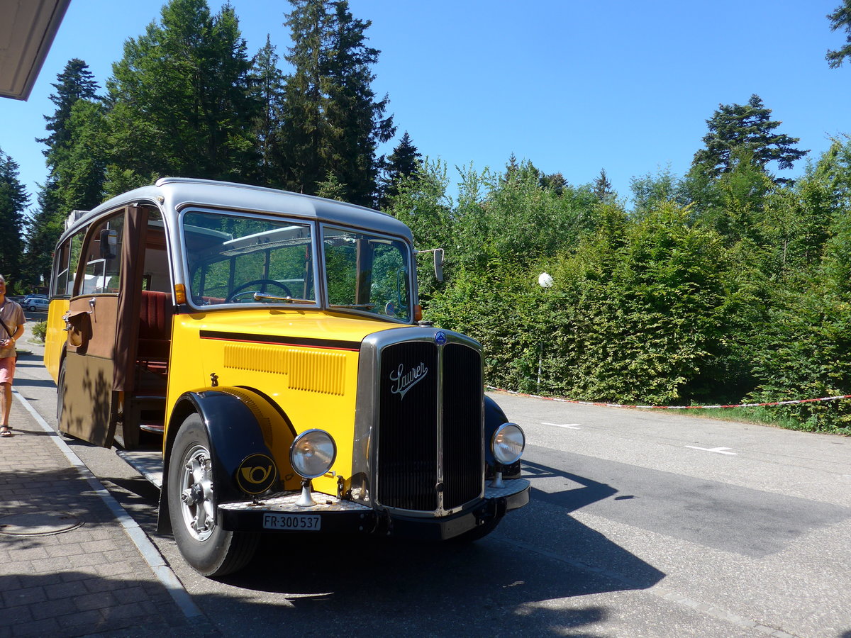 (194'472) - Schlapp, Cottens - FR 300'537 - Saurer/Saurer (ex SATEG, Lausanne; ex P 23'086; ex P 2138) am 1. Juli 2018 in Emmenmatt, Moosegg