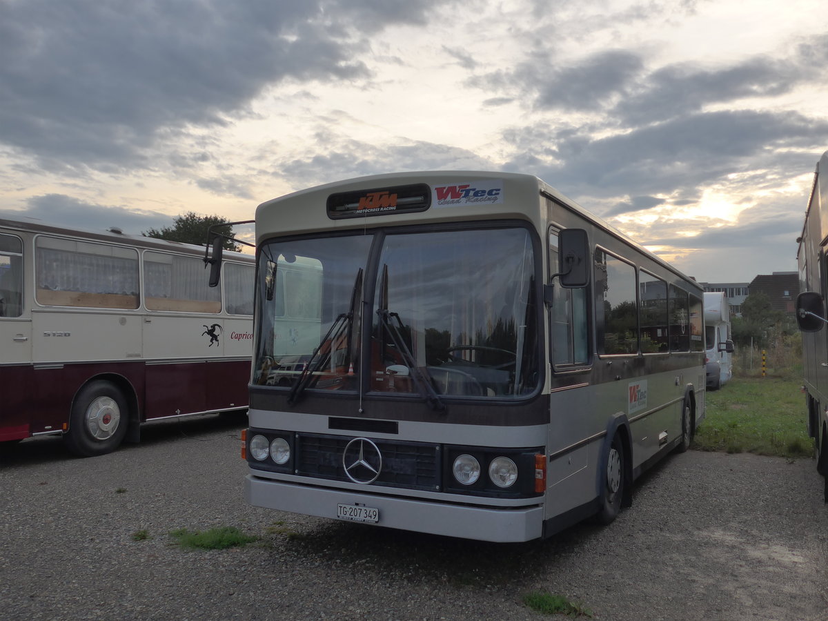 (195'921) - Mattmann, Bichelsee - TG 207'349 - Mercedes/FHS am 17. August 2018 in Wettingen, Zirkuswiese