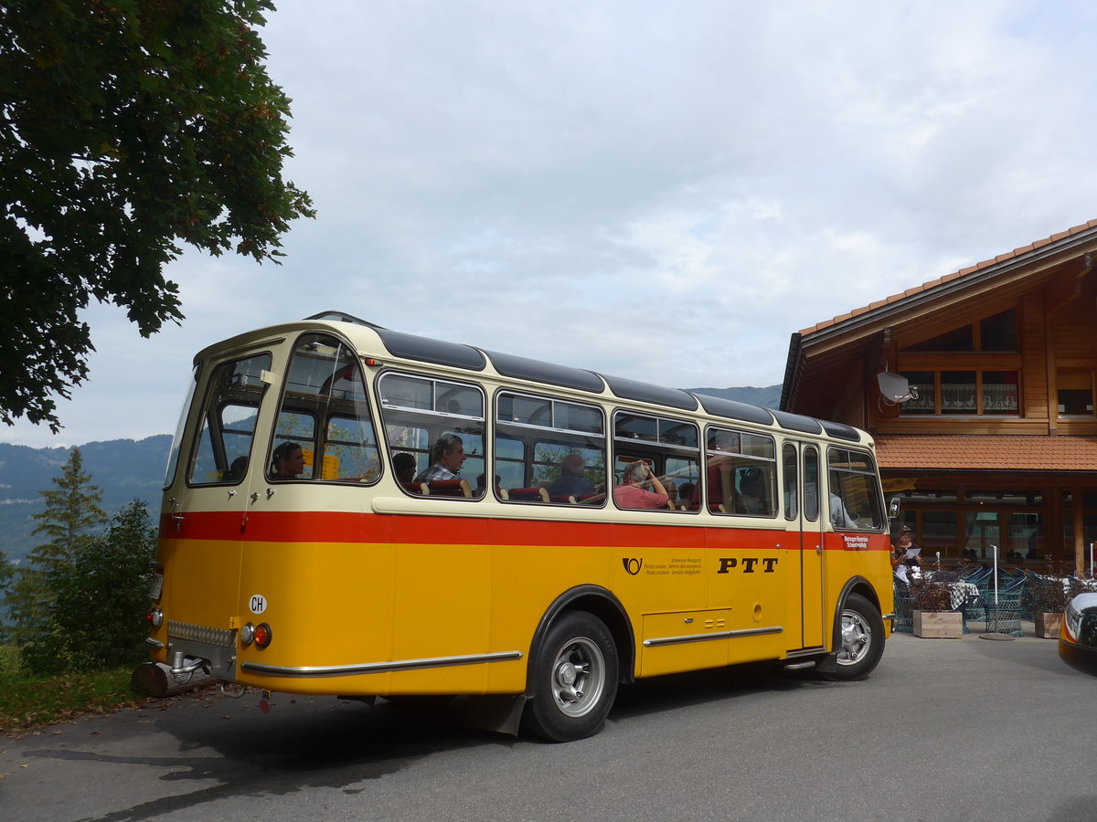 (197'752) - Mller, Ennetmoos - NW 23'167 - FBW/Gangloff (ex Rentsch, Gunten; ex P 23'203; ex P 21'003) am 16. September 2018 in Meiringen, Zwirgi