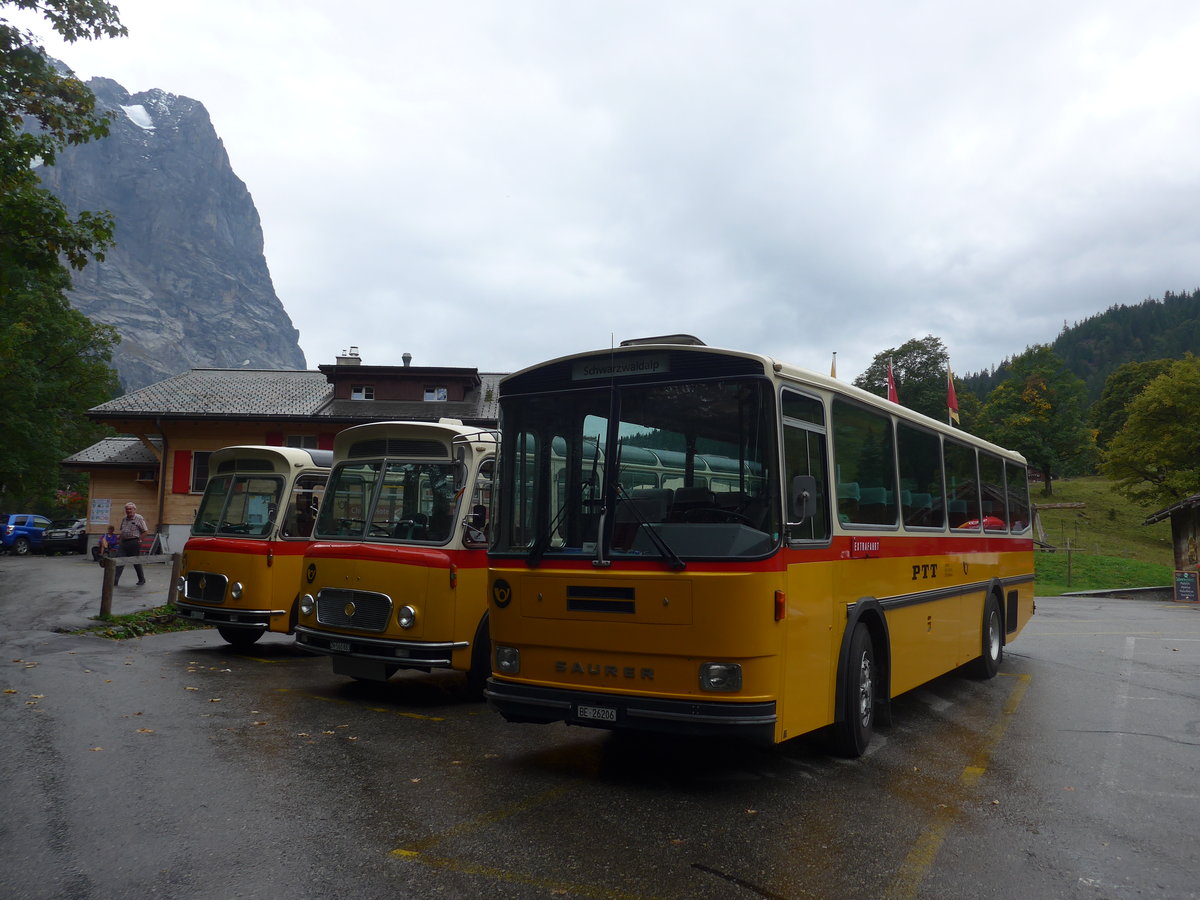 (197'805) - Schmid, Thrishaus - BE 26'206 - Saurer/Tscher (ex P 24'244) am 16. September 2018 auf der Schwarzwaldalp